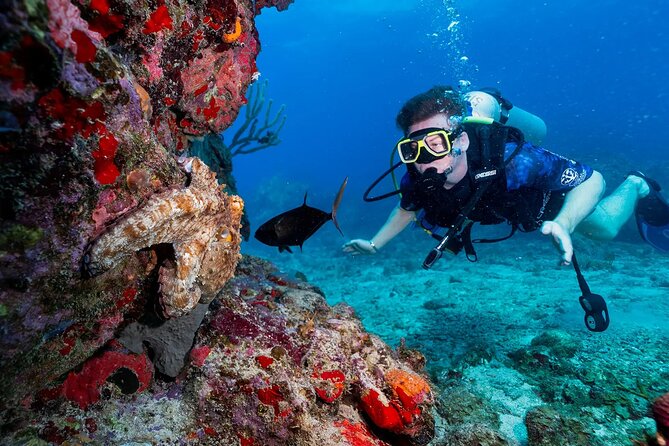 Two-Tank Morning Dive Trip for Certified Divers - Timing, booking, and cancellation details