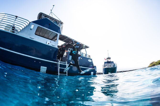 Two Tank Morning Reef Dive and Snorkel - Starting at 8:00 am in Kona