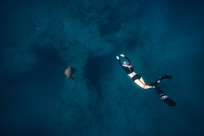 Two Tank Morning Reef Dive and Snorkel - Who should choose this outing?