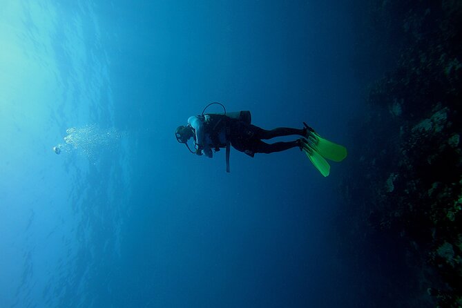 Under a sea of adventures, unforgettable diving. - Key points to know before you go