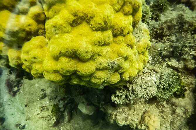 Under a sea of adventures, unforgettable diving. - Starting at Muelle de la Bodeguita at 9:00 a.m.