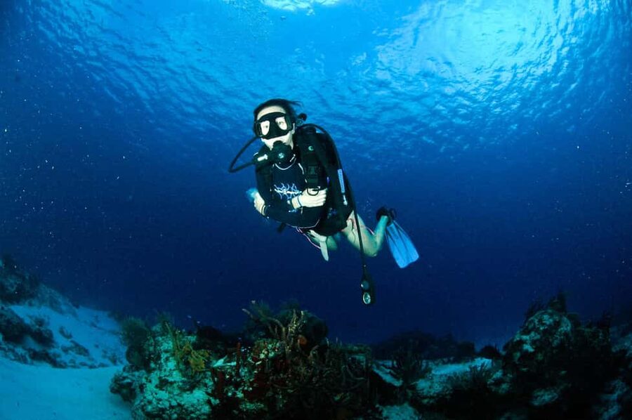 Underwater Museum Musa : SCUBA DIVING FOR BEGINNERS - Key points to know before booking