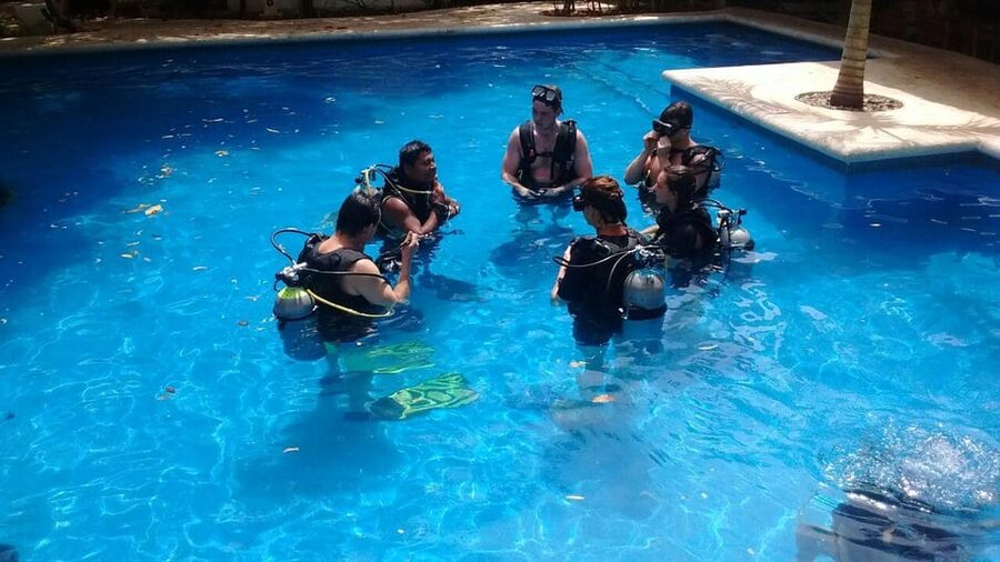 Underwater Museum Musa : SCUBA DIVING FOR BEGINNERS - Marine life, coral, and the limits of a beginner tour