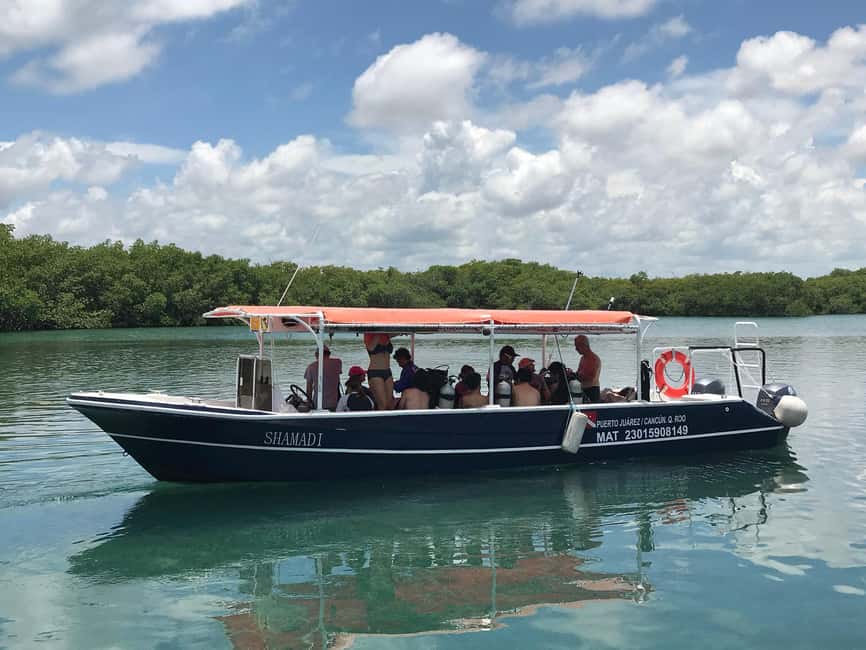 Underwater Museum Musa : SCUBA DIVING FOR BEGINNERS - Gear, safety, and the medical screening