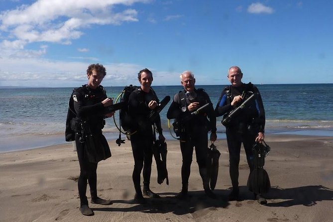 Underwater Scooter Dive (Certified Divers Only) Makena Wailea - Coral, Fish, Turtles, and Lava Features