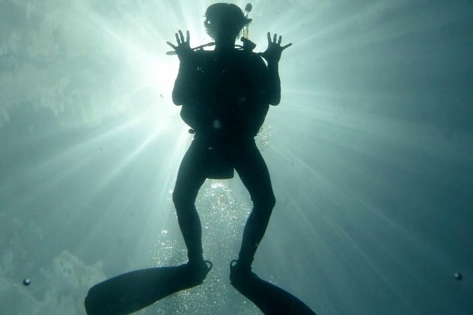 Underwater Scooter Dive (Certified Divers Only) Makena Wailea - Photos Included at No Extra Charge