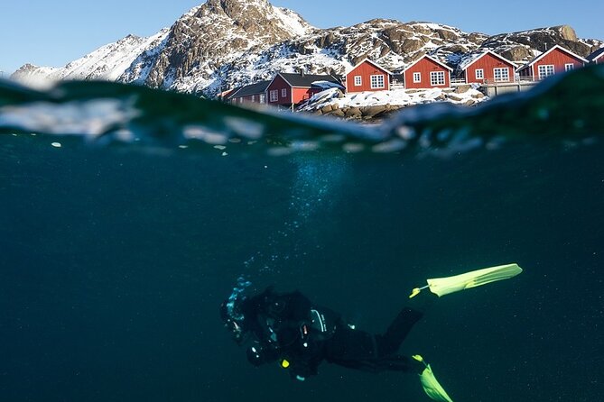 Unique Scuba Diving Experience - What the three-hour schedule really includes