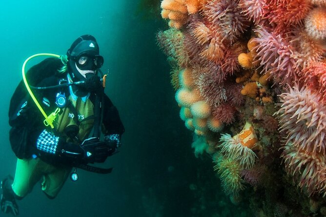 Unique Scuba Diving Experience - The guides and the safety culture