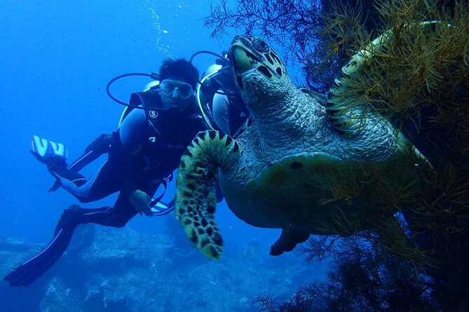 USS Liberty Shipwreck Scuba Diving at Tulamben Bali - Why the USS Liberty is such a special site