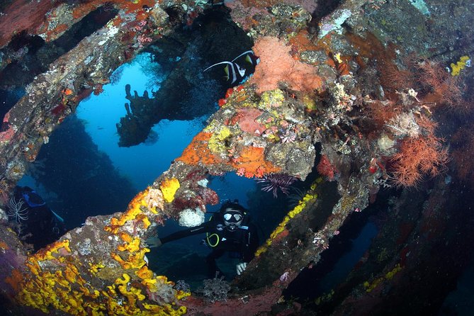 USS Liberty Shipwreck Scuba Diving at Tulamben Bali - First session: reaching the wreck from the beach