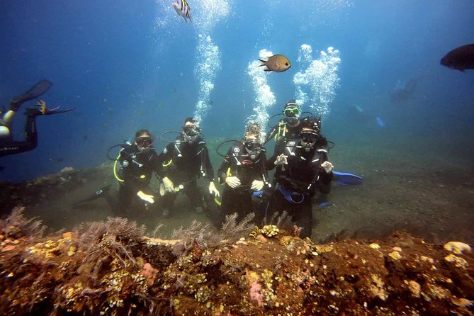 USS Liberty Shipwreck Scuba Diving at Tulamben Bali - Second session: coral, swim-throughs, and small creatures