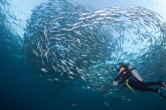 USS Liberty Shipwreck Scuba Diving at Tulamben Bali - How good is the instruction?