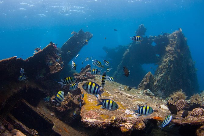 USS Liberty Shipwreck Scuba Diving at Tulamben Bali - Getting ready with the underwater team