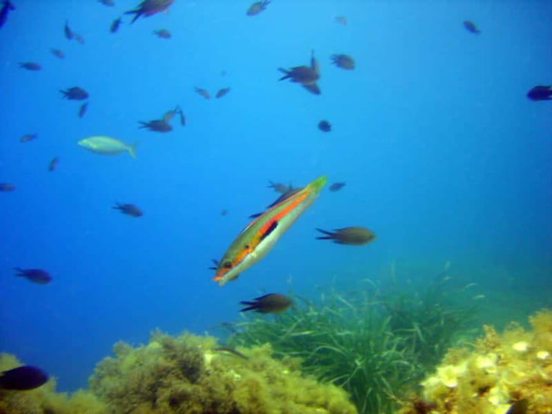 Villefranche-sur-Mer: Experience an introduction to scuba diving - Reaching the center from Nice