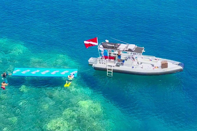 VIP Aloha Nui Snorkel Adventure w/ optional SCUBA from Lahaina - The first snorkel stop depends on the ocean