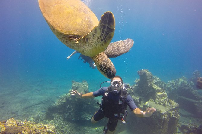 VIP Aloha Nui Snorkel Adventure w/ optional SCUBA from Lahaina - Guides who make the difference