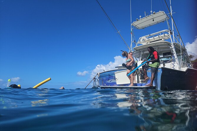 VIP Private Guided Scuba Diving/Snorkeling Excursion - Trying Scuba for the First Time