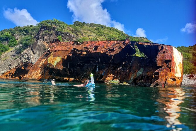 VIP Private Guided Scuba Diving/Snorkeling Excursion - The Boat as Your Base for Four Hours