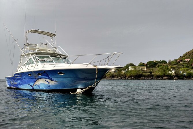 VIP Private Guided Scuba Diving/Snorkeling Excursion - Price and Overall Value at $600 Per Person