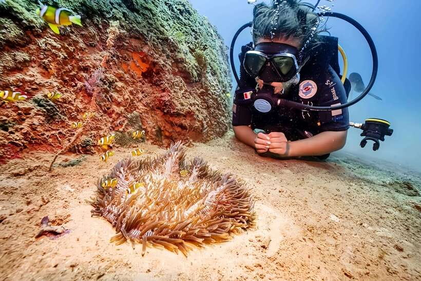 Visit Cham Islands & Snorkelling & Scuba Diving - From your hotel to Cu Lao Cham by speedboat