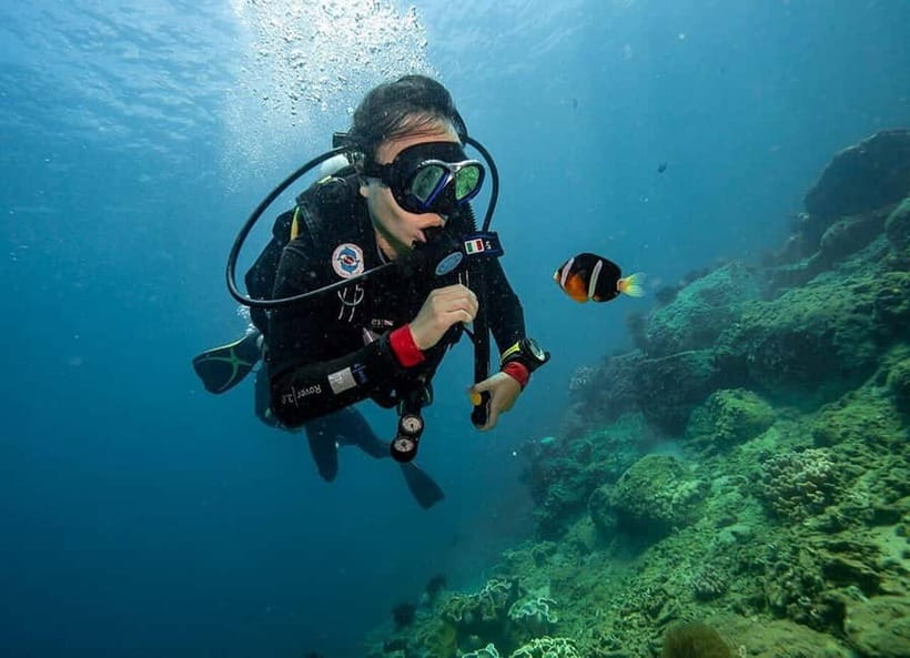 Visit Cham Islands & Snorkelling & Scuba Diving - Snorkeling at Chong Beach or Ong Beach