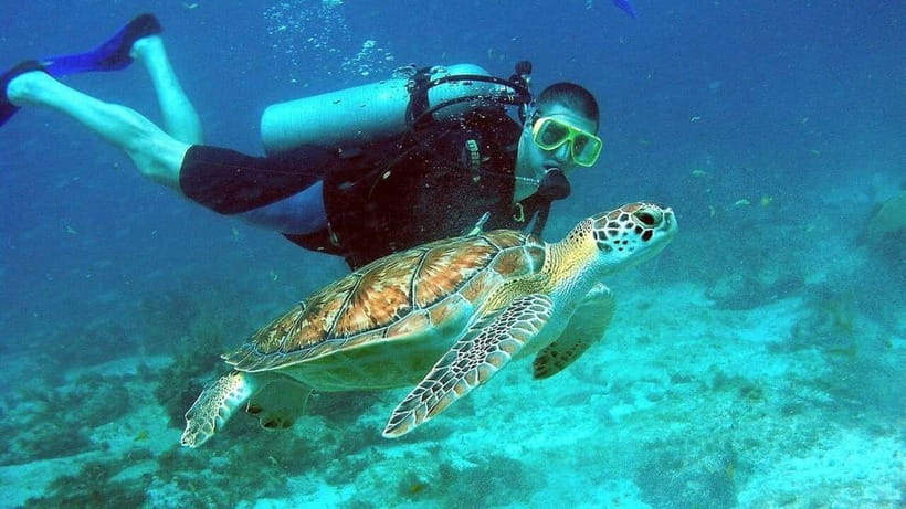 Visit Cham Islands & Snorkelling & Scuba Diving - Seafood lunch and the afternoon beach break