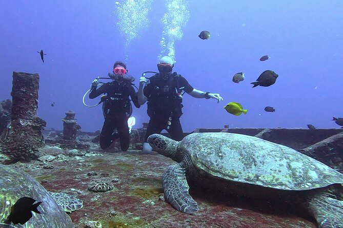 Waikiki Two Tank Guided Scuba Diving Adventure: Certified Diver - Reefs, wrecks, and what you may see below
