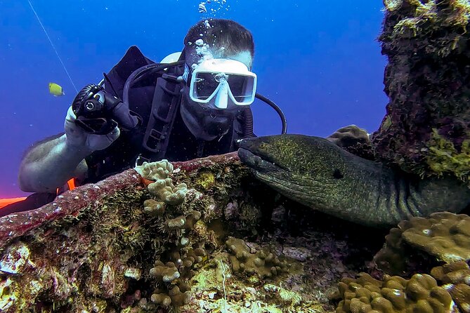 Waikiki Two Tank Guided Scuba Diving Adventure: Certified Diver - How the small group changes the experience