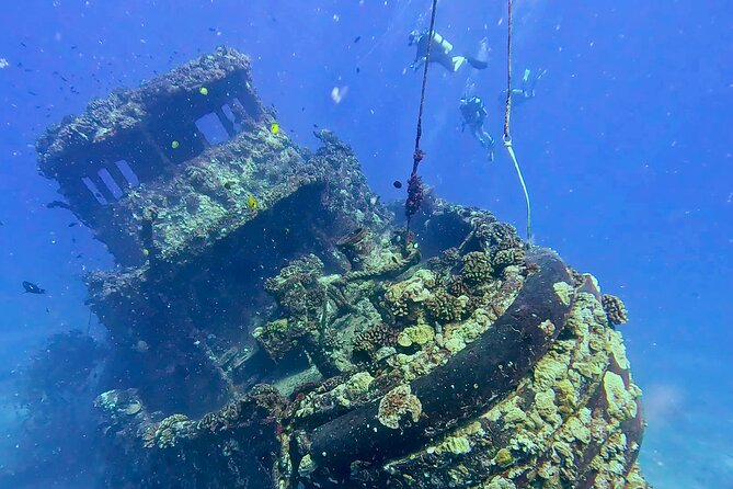 Waikiki Two Tank Guided Scuba Diving Adventure: Certified Diver - Equipment, comfort, and physical demands