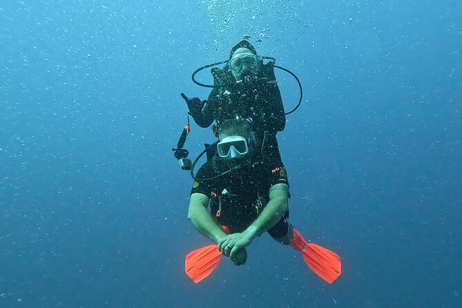 Waikiki Two Tank Guided Scuba Diving Adventure: Certified Diver - Is $249 a fair price?