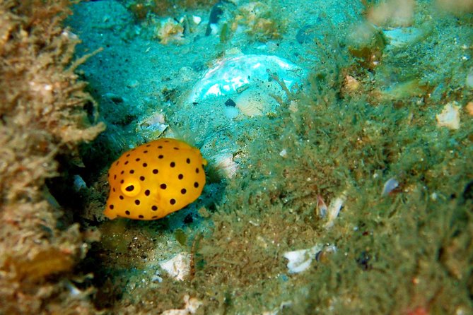 Wave Break Island Scuba Diving on the Gold Coast - Weather, cancellation, and the small print