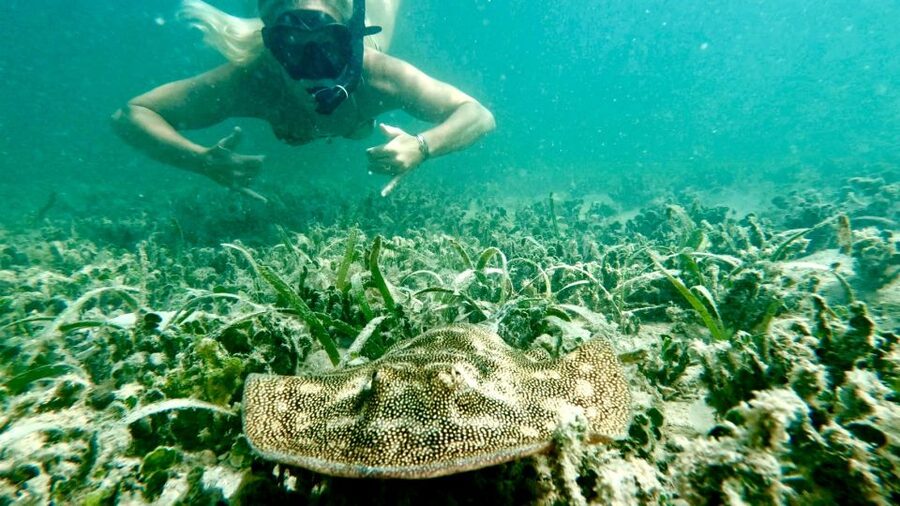 West Palm Beach: Beginner Scuba Diving Adventure with Videos - The guided underwater tour and local sea life