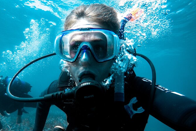 Whale and Dive Combo Tour in Los Cabos - Small brunch and a practical break