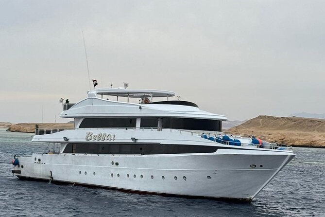 White Island & Ras Mohamed Boat Trip & Diving , lunch from Sharm - Snorkeling, swimming, and the optional scuba session