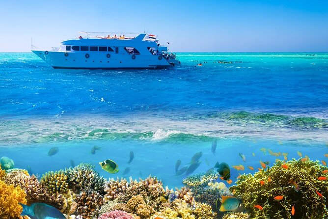 White Island & Ras Mohamed Boat Trip & Diving , lunch from Sharm - The crew and guide support