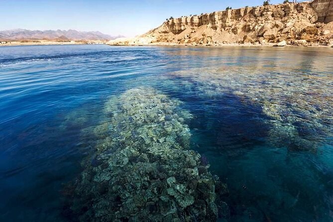 White Island & Ras Mohamed Boat Trip & Diving , lunch from Sharm - Who will enjoy this Red Sea excursion