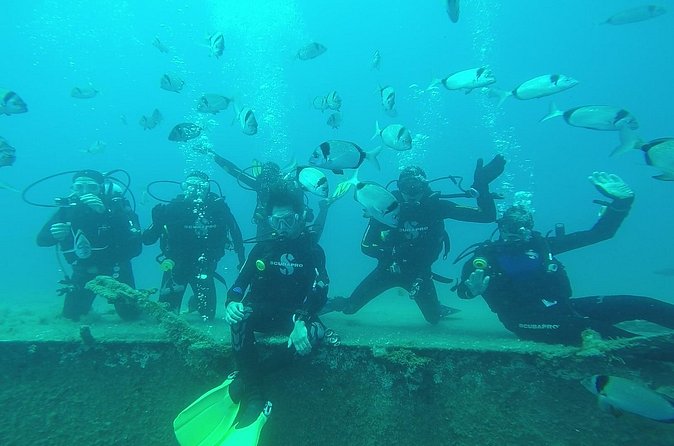 World-Class Zenobia Wreck Dive in Cyprus x 2 dives - First session: getting to know the stern
