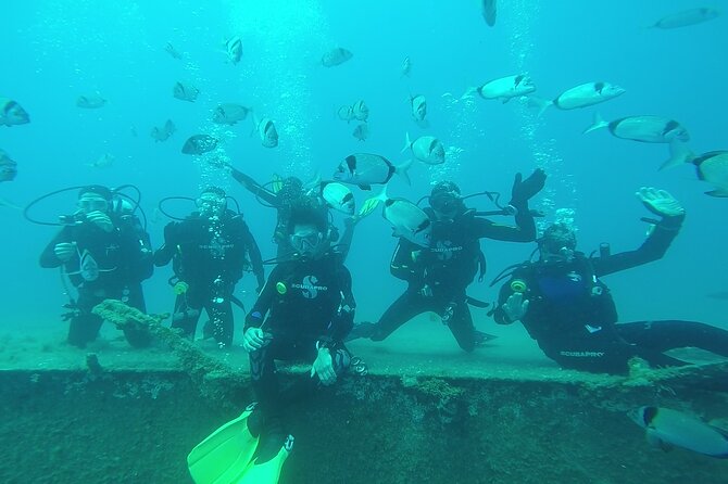 World-Class Zenobia Wreck Dive in Cyprus x 2 dives - Second session: changing the view at the bow
