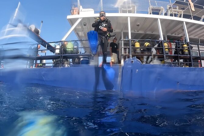 World-Class Zenobia Wreck Dive in Cyprus x 2 dives - The early start from Pissouri Bay