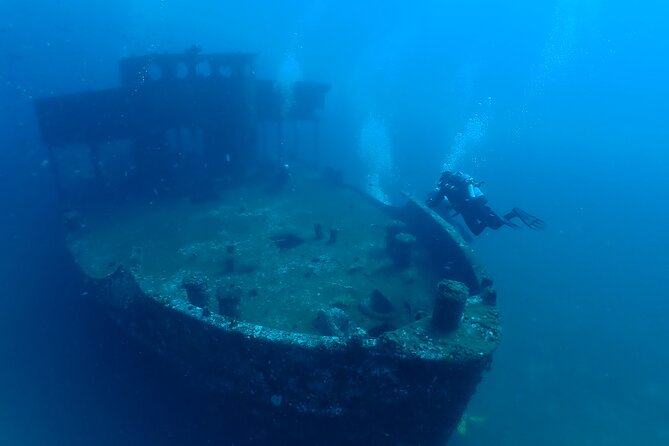Wreck and Bridge Span Dive for Certified Divers - Key points to know before you book