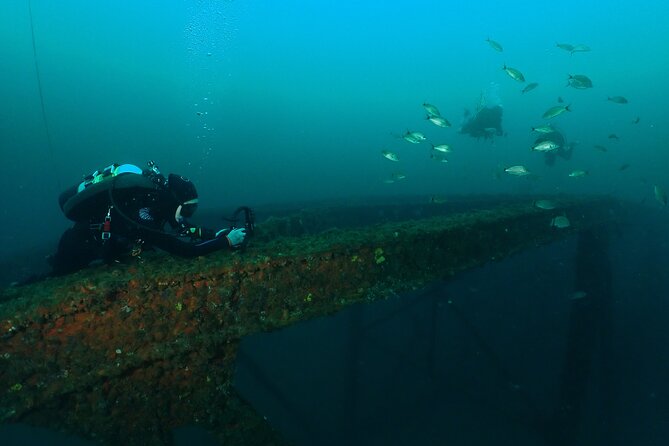 Wreck and Bridge Span Dive for Certified Divers - Safety is the strongest part of the operation