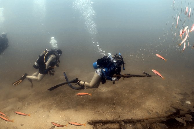 Wreck and Bridge Span Dive for Certified Divers - Visibility, current, and conditions