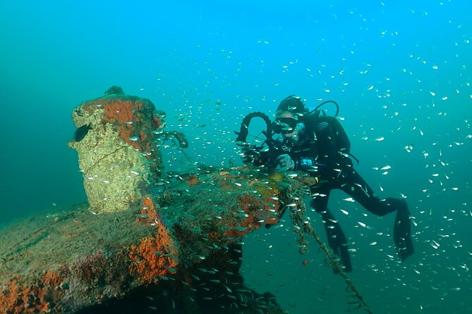 Wreck and Bridge Span Dive for Certified Divers - What is included for the $115.36 price