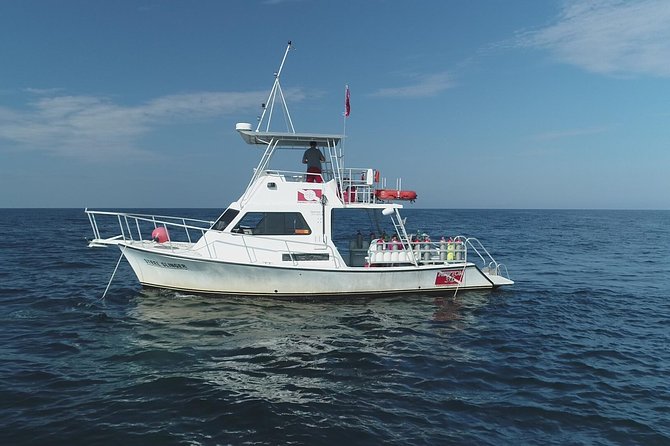 Wreck and Bridge Span Dive for Certified Divers - Who will enjoy this charter most