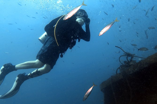 Wreck and Bridge Span Dive for Certified Divers - Timing, meeting point, and practical details