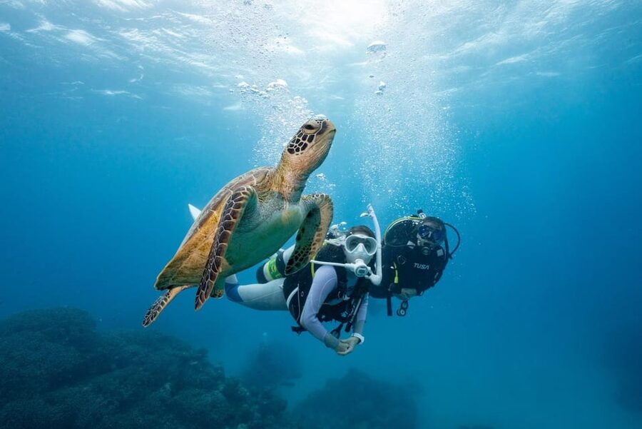 Zakynthos: Scuba Diving Experience with Underwater Photos - Key details at a glance