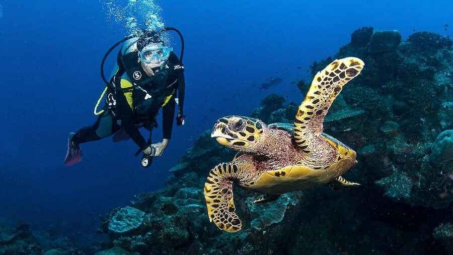 Zakynthos: Scuba Diving Experience with Underwater Photos - The boat ride to Marathonissi, or Turtle Island