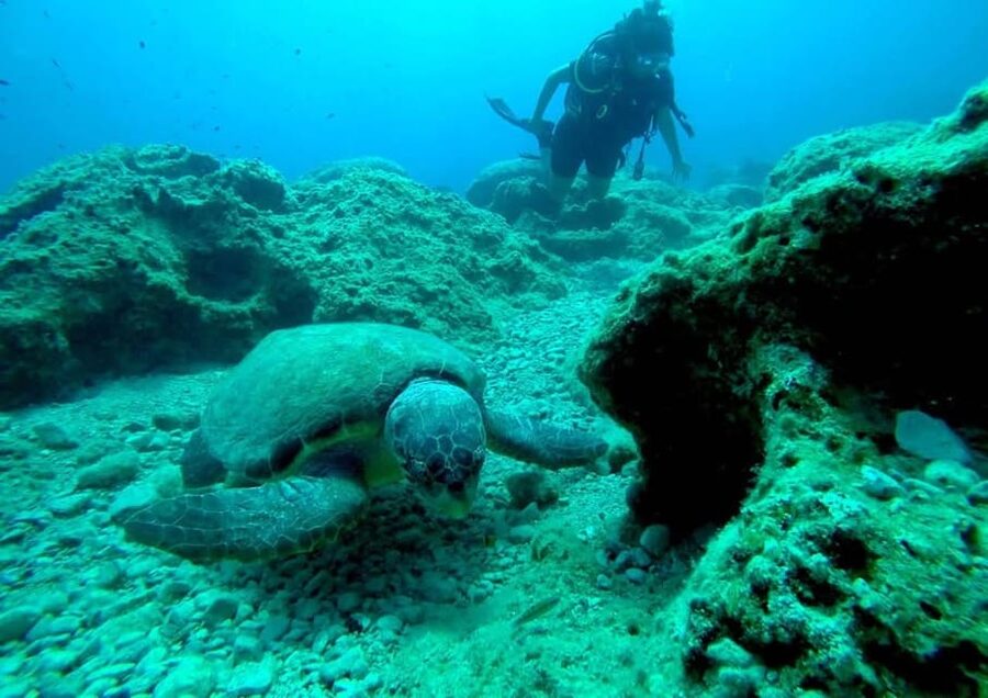 Zakynthos: Scuba Diving Experience with Underwater Photos - Nearly an hour below the surface