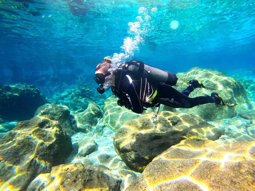 Zakynthos: Scuba Diving Experience with Underwater Photos - Is $182 a fair price?