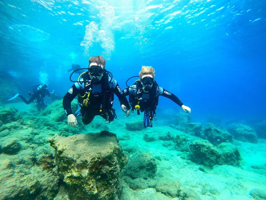Zakynthos: Scuba Diving Experience with Underwater Photos - The turtle question, handled honestly